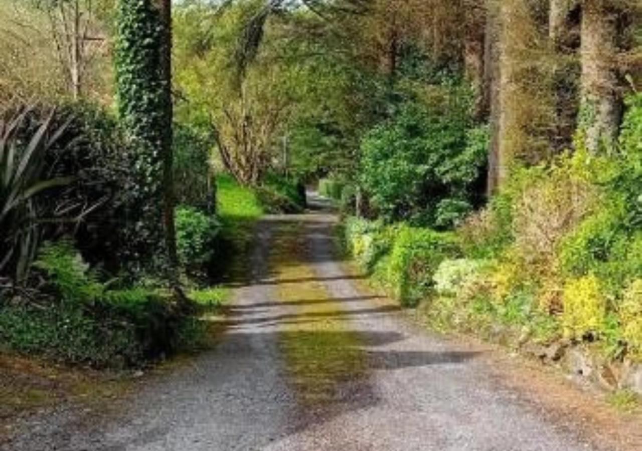 Holiday home Barnesmore Cottage *